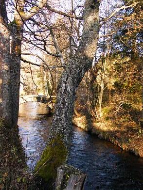 Vchynicko-tetovský kanál